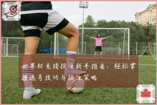 世界杯竞猜投注新手指南，轻松掌握选号技巧与投注策略