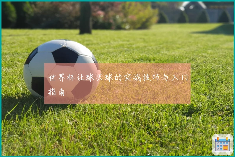 世界杯让球买球的实战技巧与入门指南