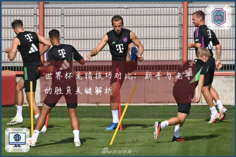 世界杯竞猜技巧对比：新手与老手的胜负关键解析