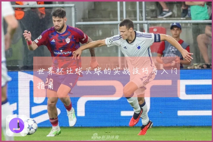 世界杯让球买球的实战技巧与入门指南