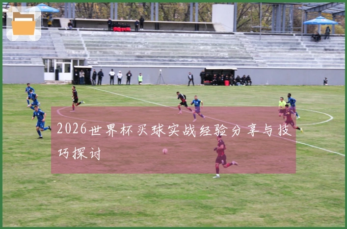 2026世界杯买球实战经验分享与技巧探讨
