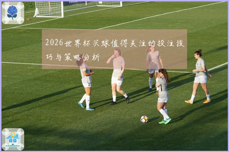 2026世界杯买球值得关注的投注技巧与策略分析