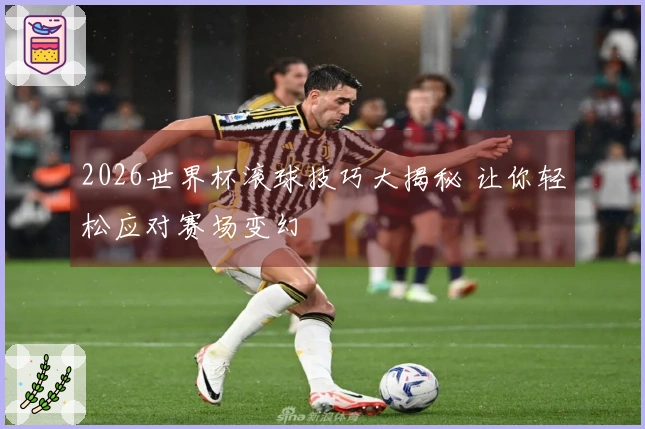 2026世界杯滚球技巧大揭秘 让你轻松应对赛场变幻