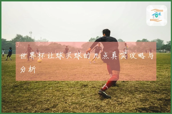 世界杯让球买球的几点真实攻略与分析