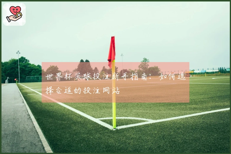 世界杯买球投注新手指南：如何选择合适的投注网站