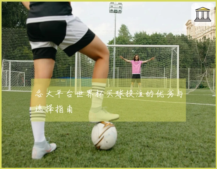 各大平台世界杯买球投注的优劣与选择指南