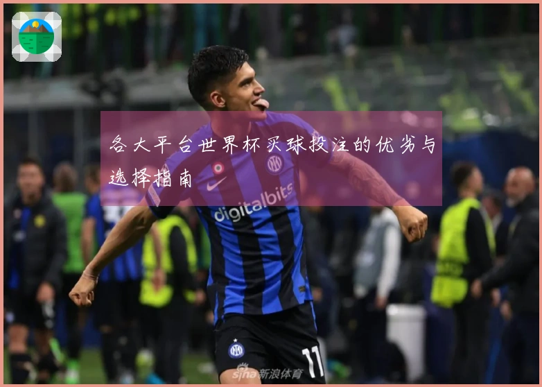 各大平台世界杯买球投注的优劣与选择指南