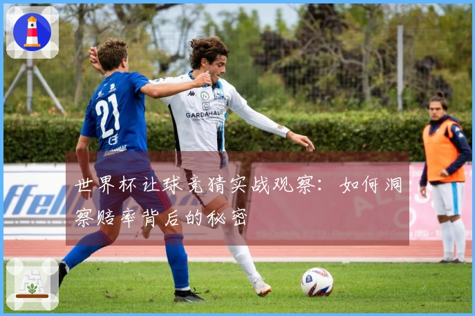 世界杯让球竞猜实战观察：如何洞察赔率背后的秘密
