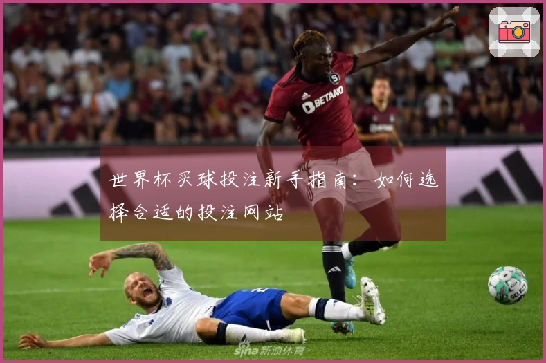 世界杯买球投注新手指南：如何选择合适的投注网站
