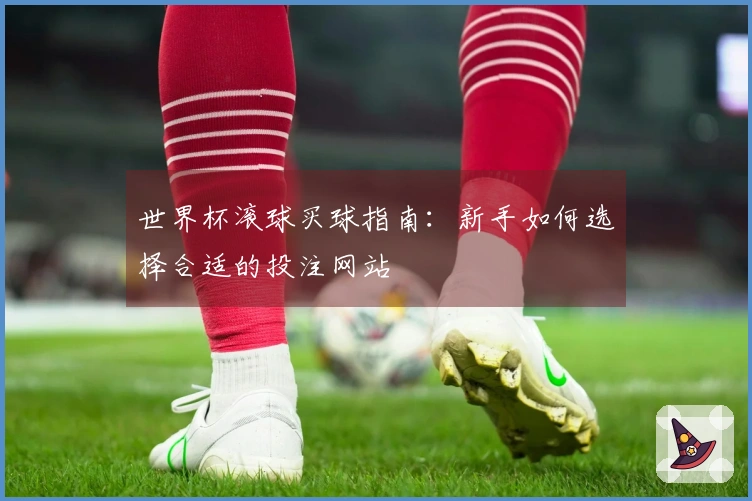 世界杯滚球买球指南：新手如何选择合适的投注网站