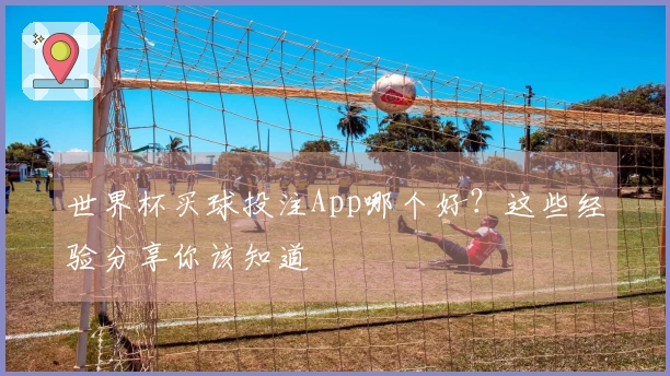 世界杯买球投注App哪个好？这些经验分享你该知道