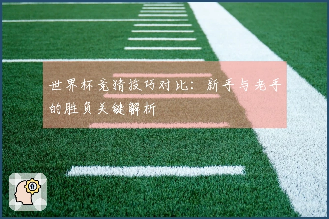 世界杯竞猜技巧对比：新手与老手的胜负关键解析