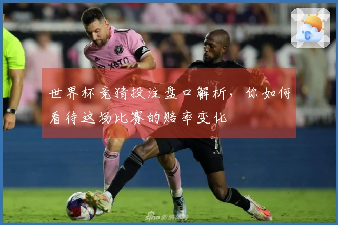 世界杯竞猜投注盘口解析，你如何看待这场比赛的赔率变化
