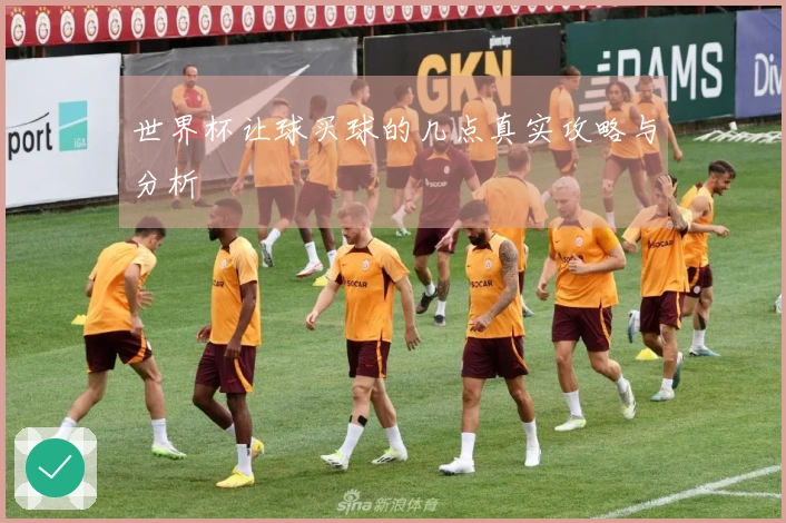 世界杯让球买球的几点真实攻略与分析
