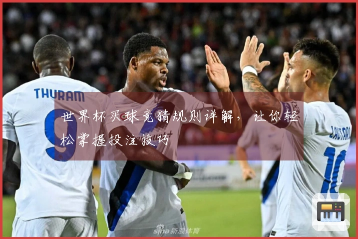 世界杯买球竞猜规则详解，让你轻松掌握投注技巧