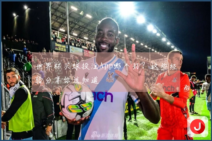 世界杯买球投注App哪个好？这些经验分享你该知道