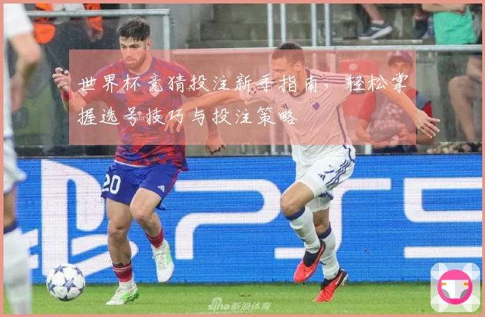 世界杯竞猜投注新手指南，轻松掌握选号技巧与投注策略